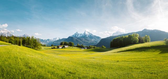 German alpine field